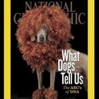 National Geographic Magazine 2012 v221 #2 February
